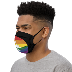 Plane Pride Face Mask (with nose wire and pocket for filter)